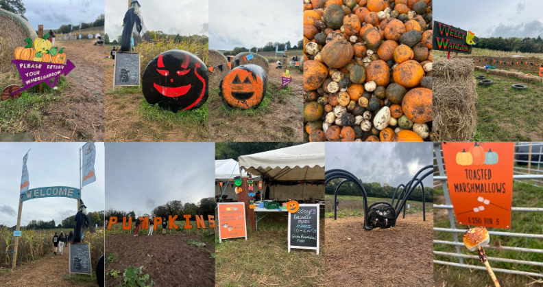 REVIEW: Pumpkin Picking at Newton Farm in Bath