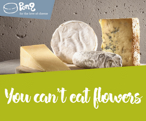 Pong Cheese (Affiliate)