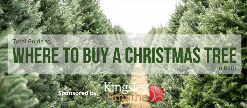 Kingsley Smythe Christmas Trees Banner