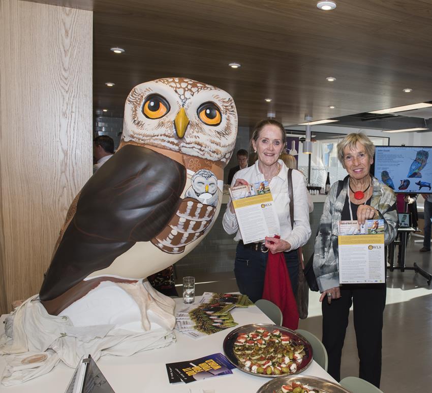 The Launch of Minerva Owls