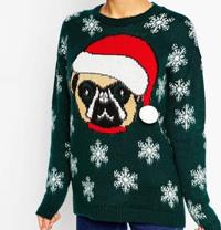 Christmas Jumper With Pug