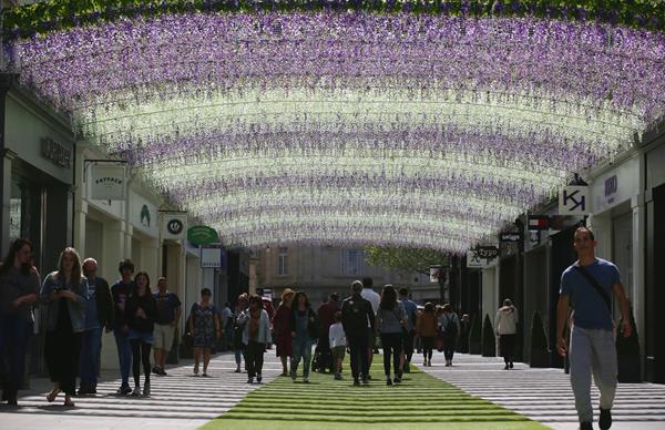 Blooming Beautiful Wisteria Walkway Unveiled at SouthGate