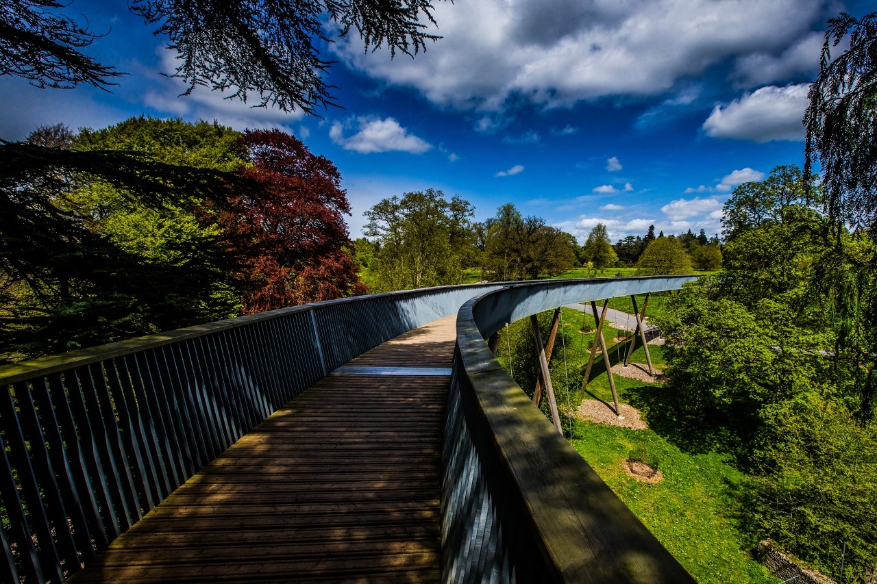 Westonbirt Arboretum Bath Reopens
