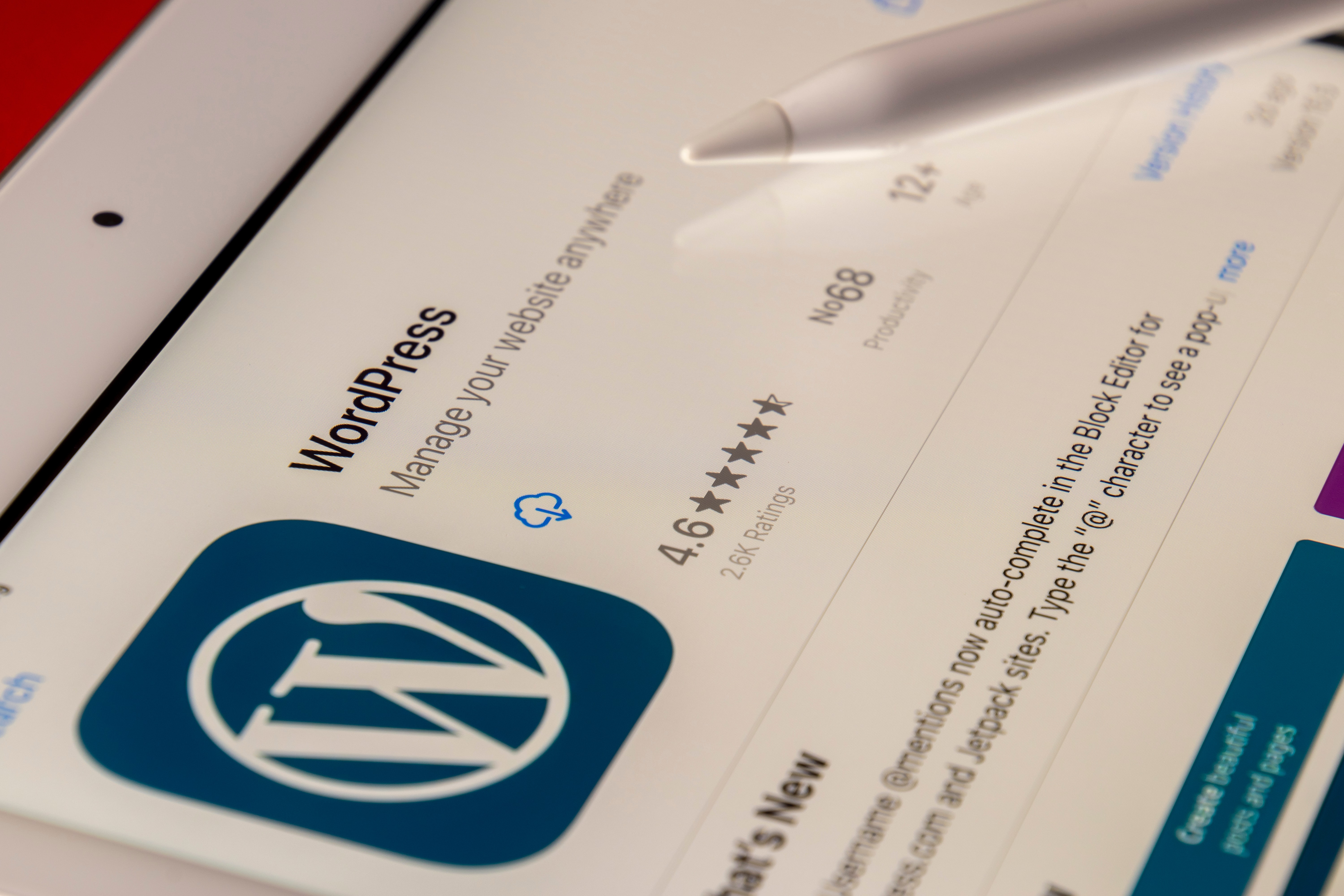 Why is WordPress So Popular?