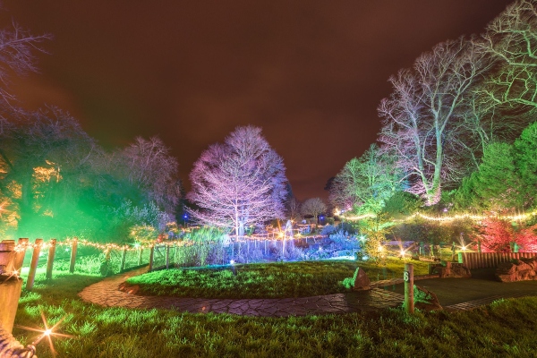Magical glow golf returns to Royal Victoria Park