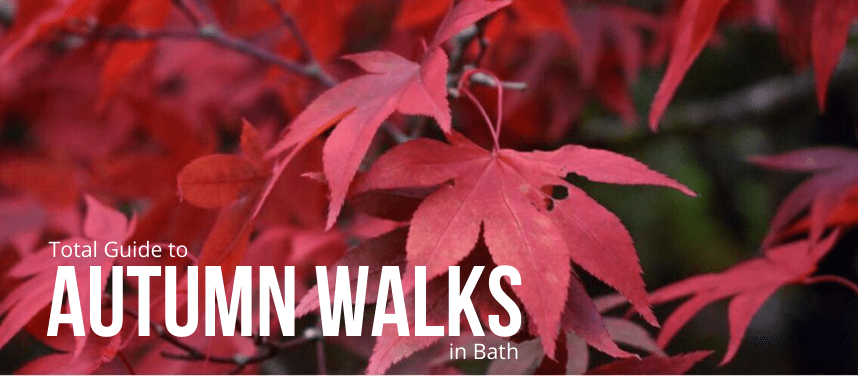 Autumn Walks in Bath