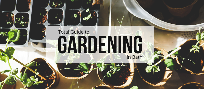 Gardening in Bath