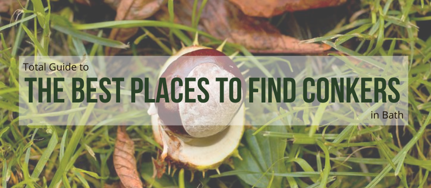The Best Places to Find Conkers in Bath