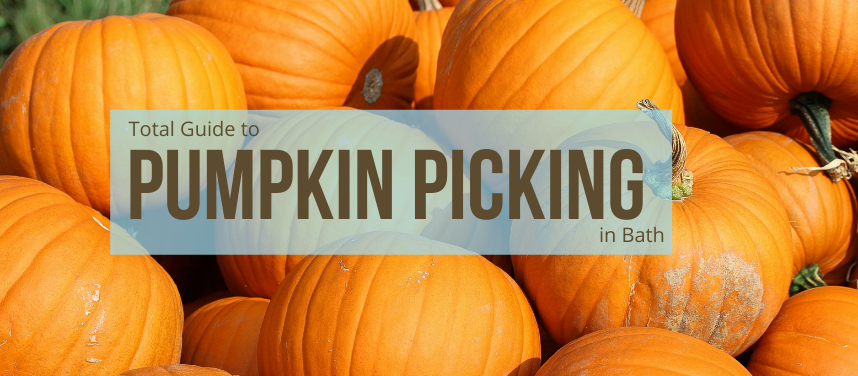 The Best Pumpkin Picking Places In and Around Bath