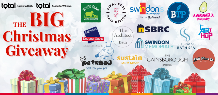 Banner: The Big Christmas Giveaway