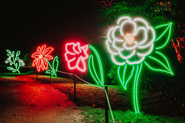 Christmas at Westonbirt