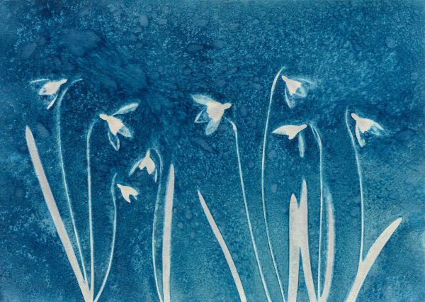 Client Image: No. 1 Royal Crescent Cyanotype Photography