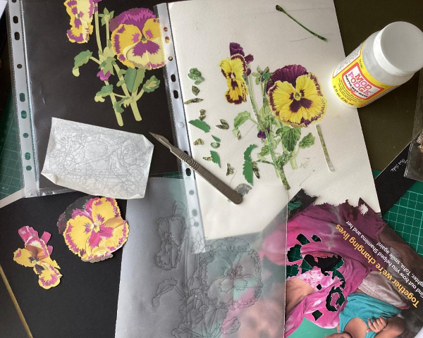 Client Image: No. 1 Royal Crescent Botanical Collage 