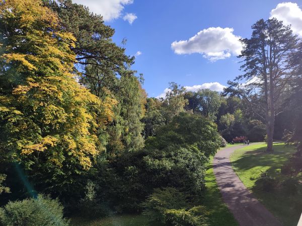 Westonbirt