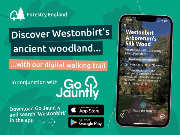 Explore Westonbirt’s ancient woodland with brand-new digital walking trail!