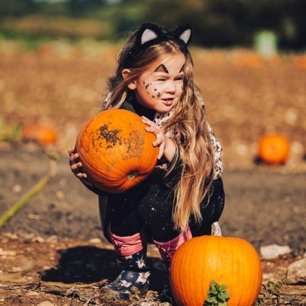 Halloween at Avon Valley