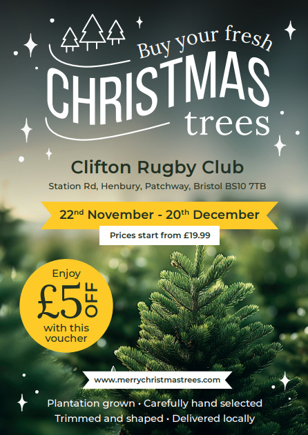 Kingsley Smythe Fresh Christmas Trees 