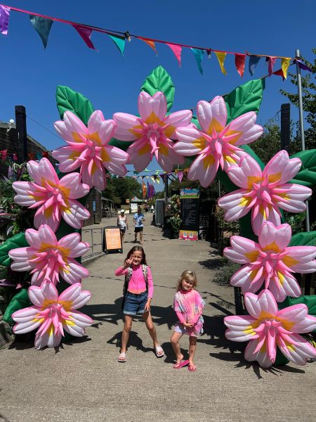 VIDEO: Summer at Avon Valley