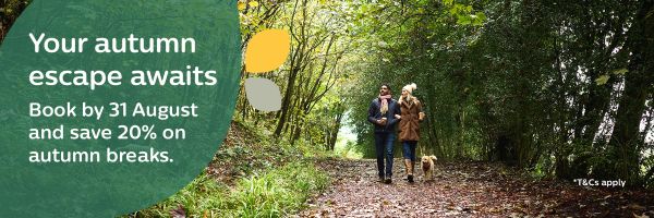 Autumn Flash Sale at Whitemead Forest Park