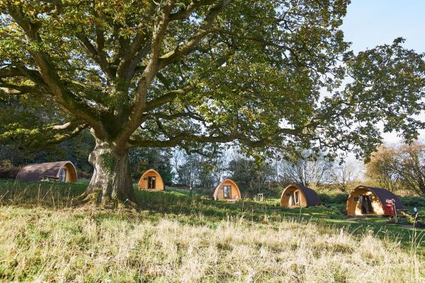 Early Booking Sale at Whitemead Forest Park