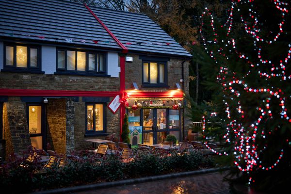 Christmas at Whitemead Forest Park