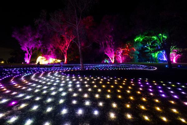 Christmas At Westonbirt