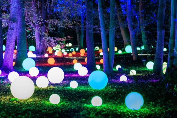 Christmas At Westonbirt