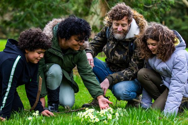 Client Image: Westonbirt Arboretum Spring Trail