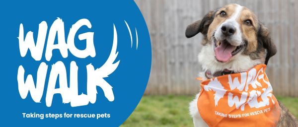 Wag Walk 2026