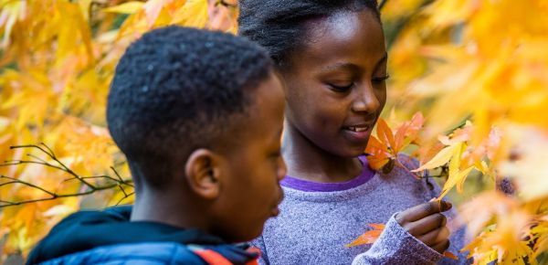 Client Image: Westonbirt Arb Autumn Kids
