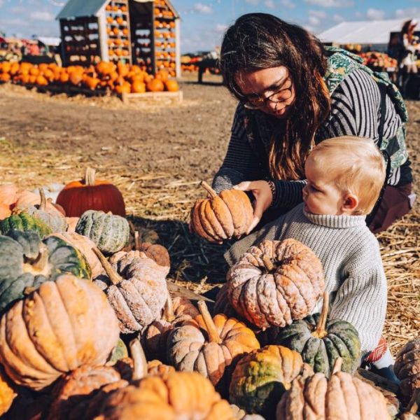 Avon Valley Pumpkin Patch