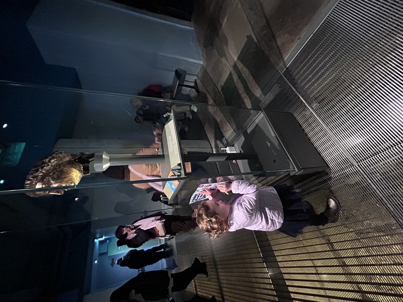 roman baths easter review 