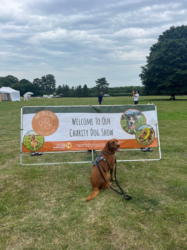 Paws Charity Dog Show Returns for a Fun-Filled Day of Family Entertainment