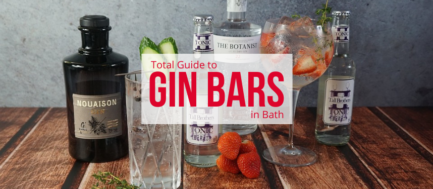 gin bars