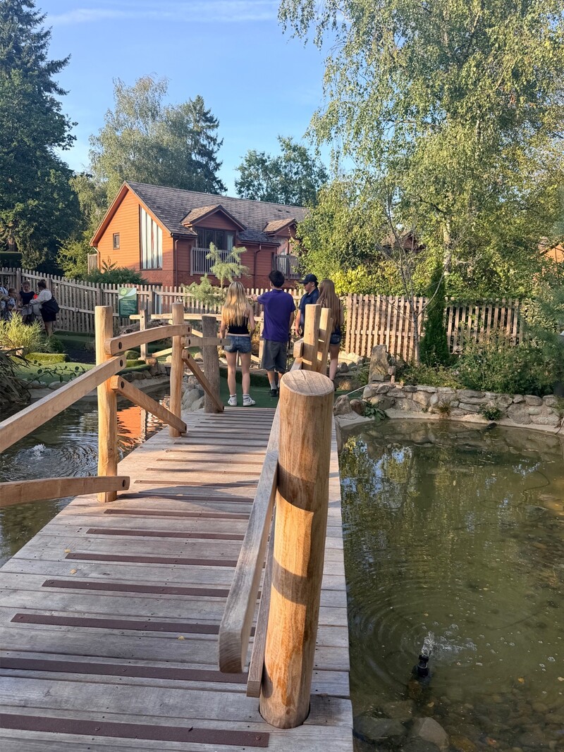 REVIEW: Teenagers Entertained, Mum Relaxed: Our Weekend at Whitemead Forest Park